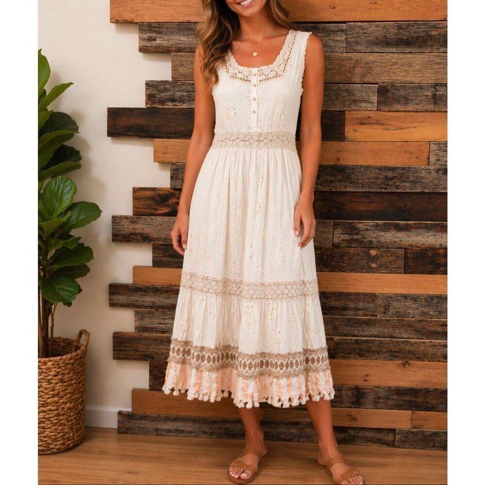 Dress NWT boutique sz L